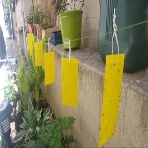 Trükitud Fly Sticker